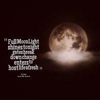moonlight_fresh
