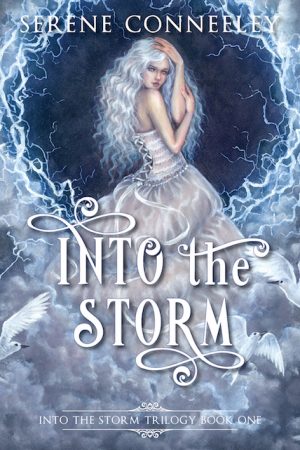 Into the Storm Cover