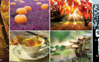 Mabon Autumn Equinox